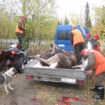 Onnistunut jahtipäivä