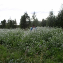 Liedakkalan riistapelto ja Yrjö