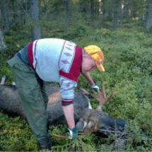 Jussin 11 kuutioinen